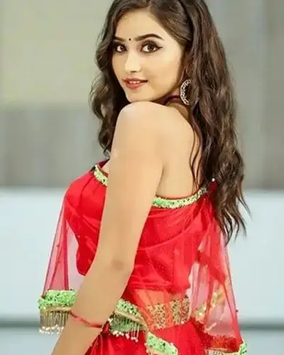 Call Girls Service Phillaur